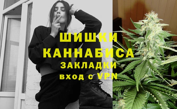 шишки Алексин