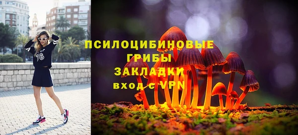шишки Алексин