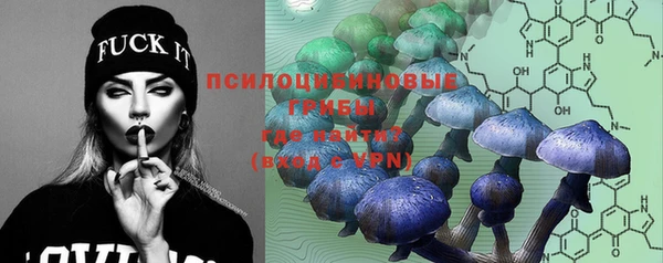 индика Алексеевка