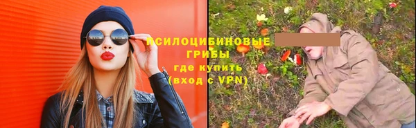 шишки Алексин