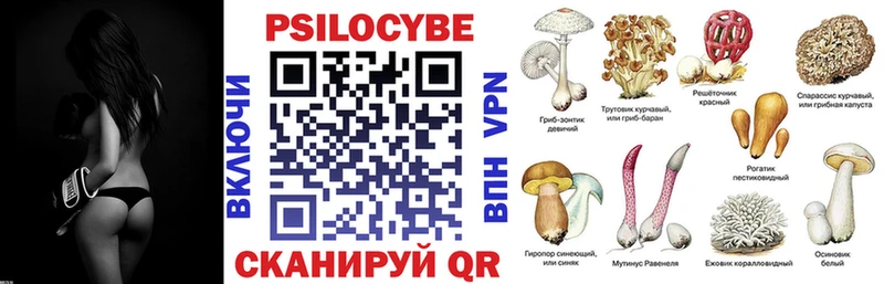 Псилоцибиновые грибы Psilocybe  Старая Купавна 